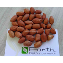 Agri Commodity Peanut